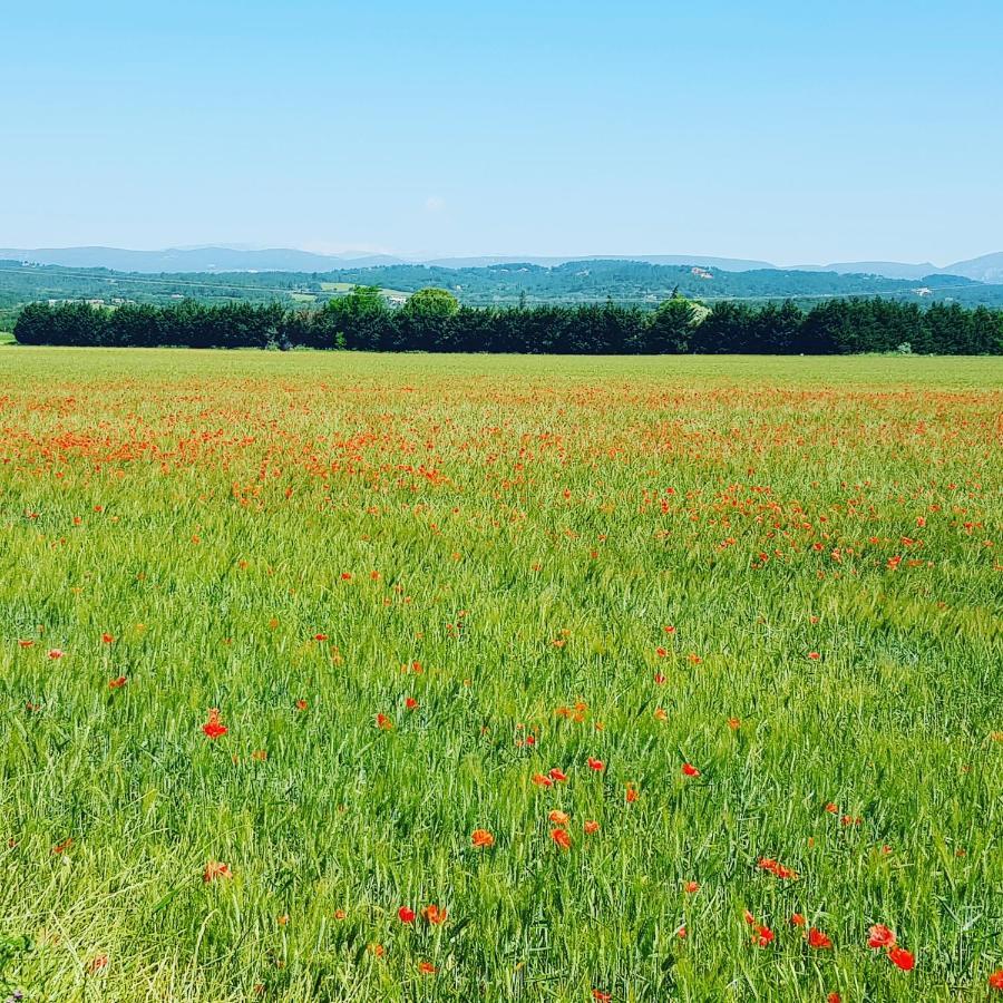 Entre Ble Et Lavande Appartement Bonnieux Buitenkant foto