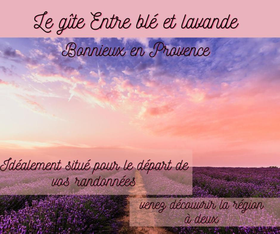 Entre Ble Et Lavande Appartement Bonnieux Buitenkant foto
