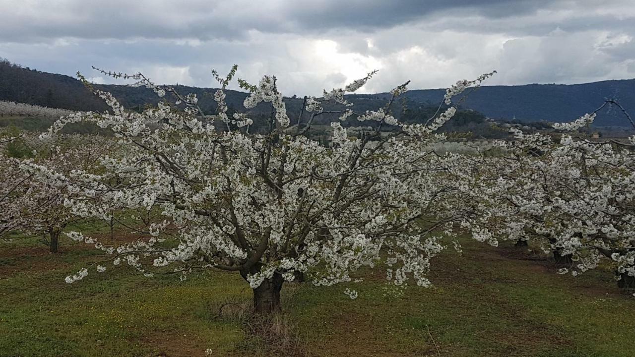 Entre Ble Et Lavande Appartement Bonnieux Buitenkant foto