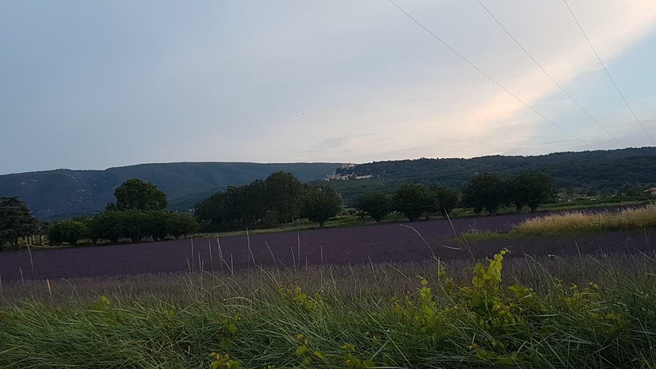 Entre Ble Et Lavande Appartement Bonnieux Buitenkant foto