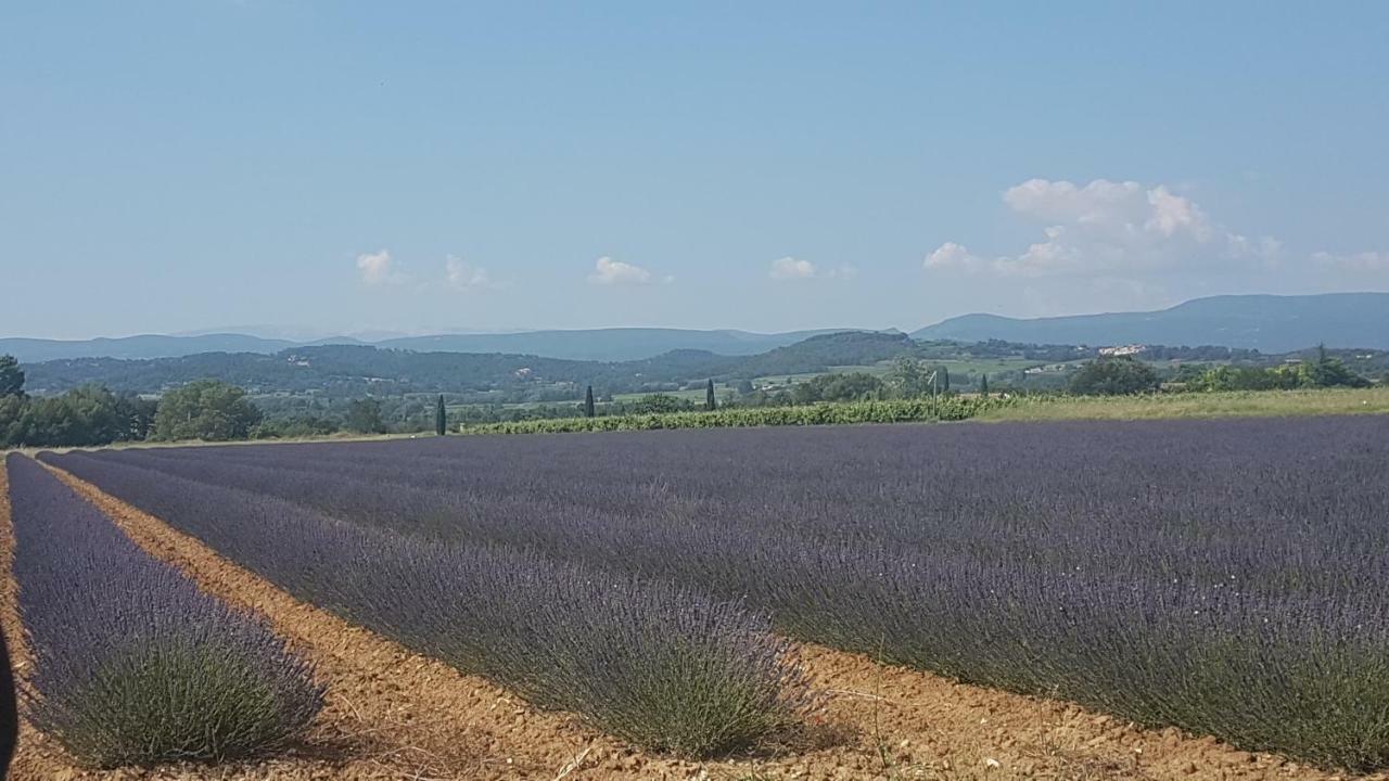 Entre Ble Et Lavande Appartement Bonnieux Buitenkant foto
